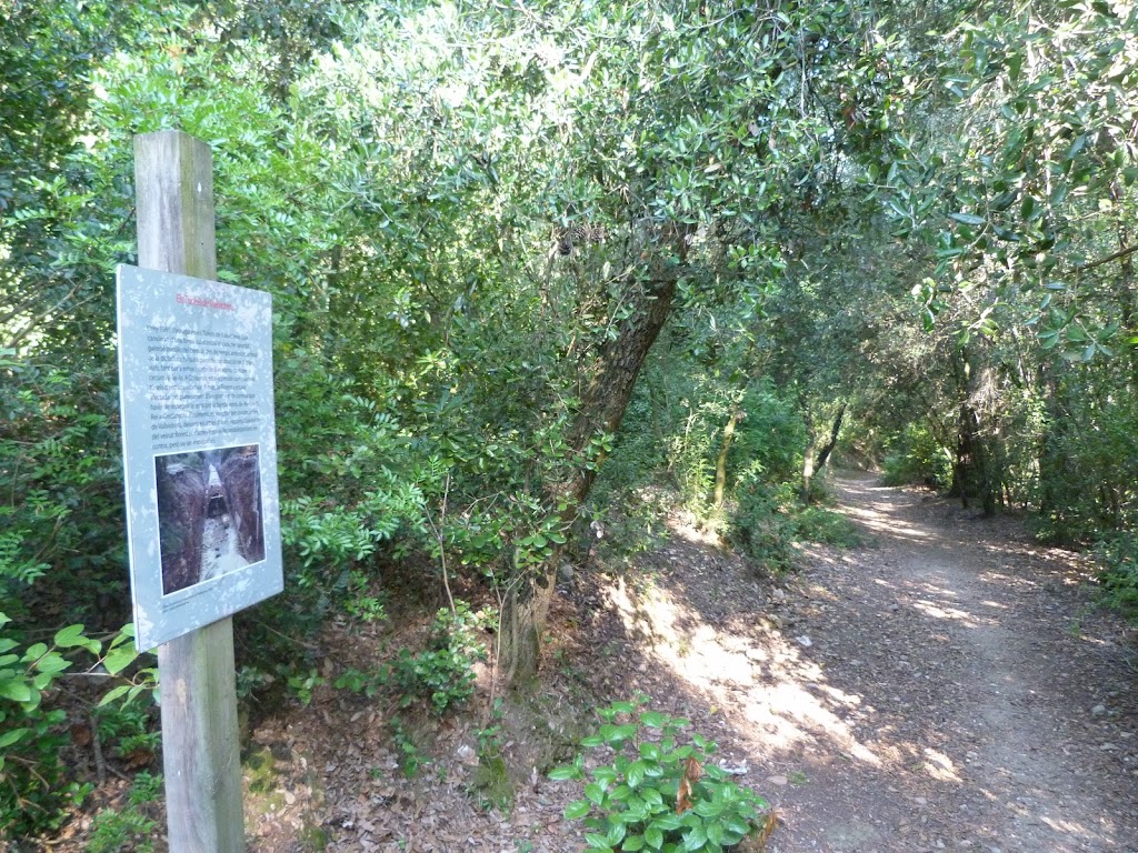 Bosque Literario