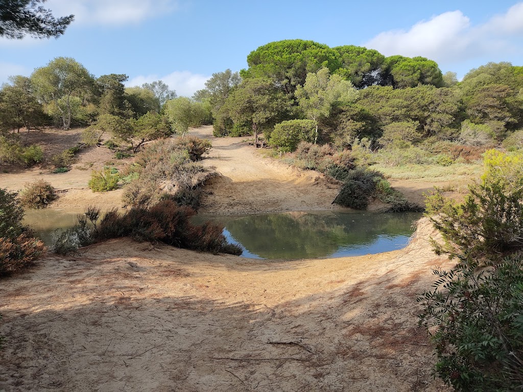 Laguna de La Algaida