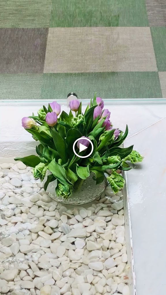 floristeria iris ayamonte — Todas