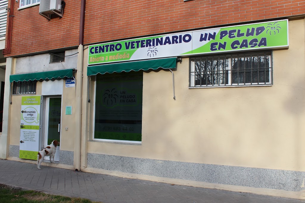 UN PELUDO EN CASA (clinica veterinaria en Getafe)