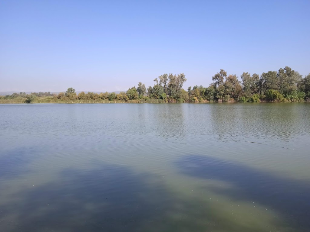 Ruta azahar brenes