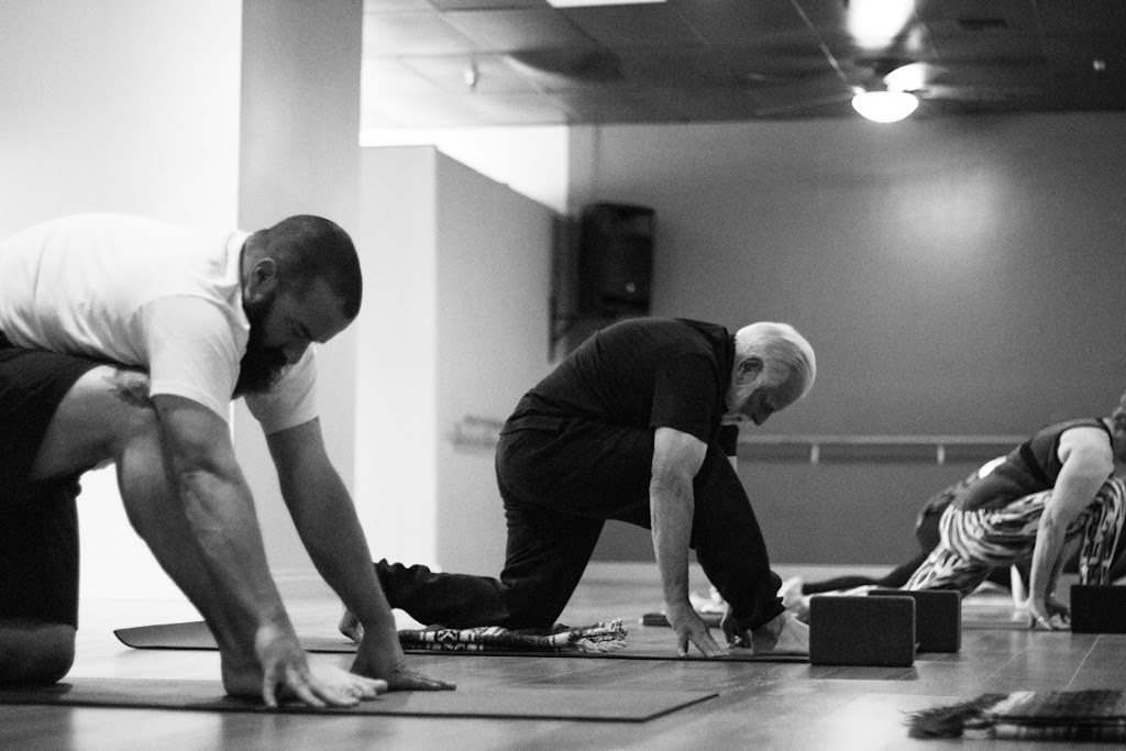  Vasa the Yoga Studio