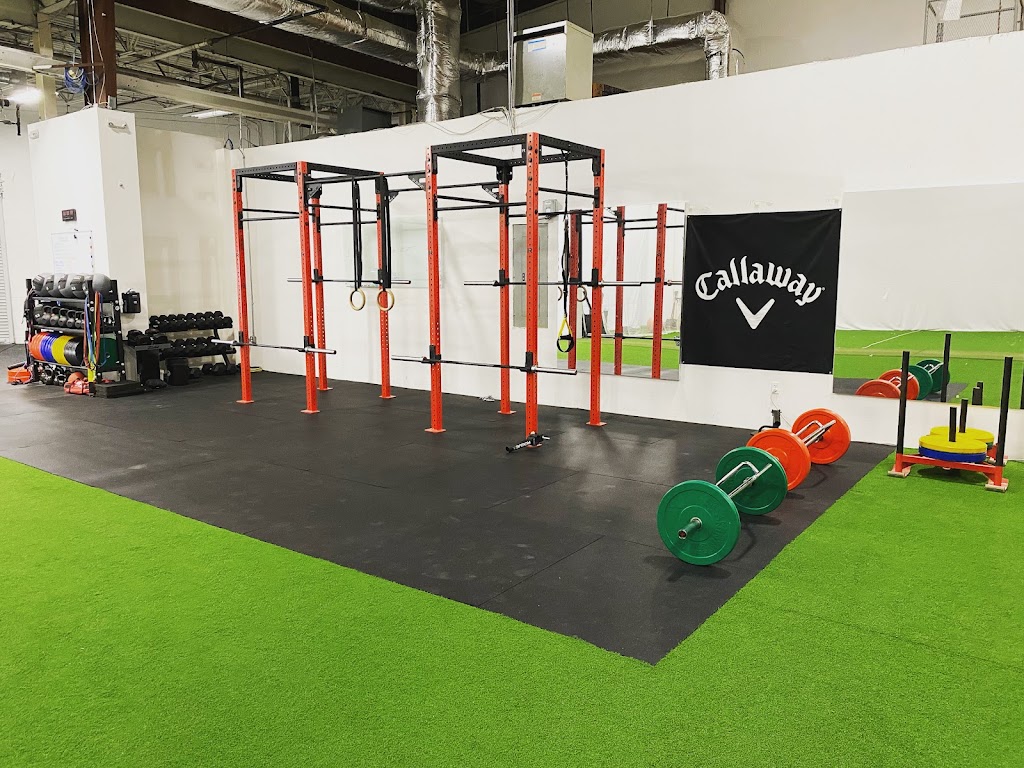  Rotational Power Strength ACTON