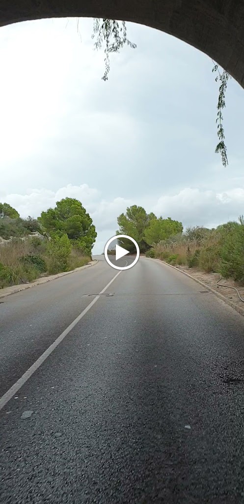 Videos