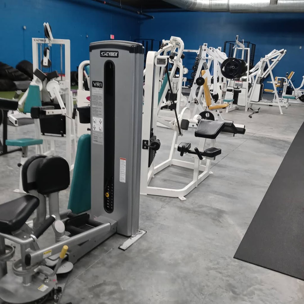  Blue Bicycle Health and Fitness