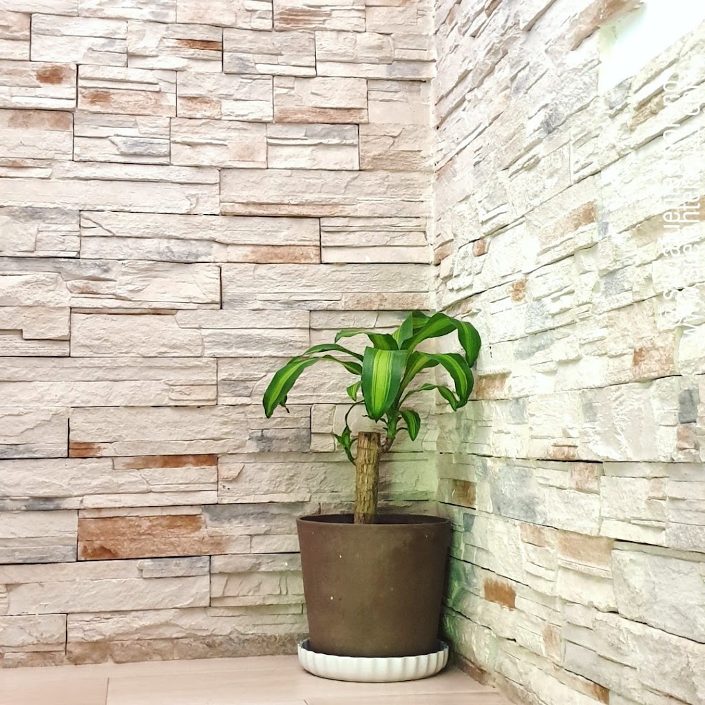 Silvia Fuentes Moreno