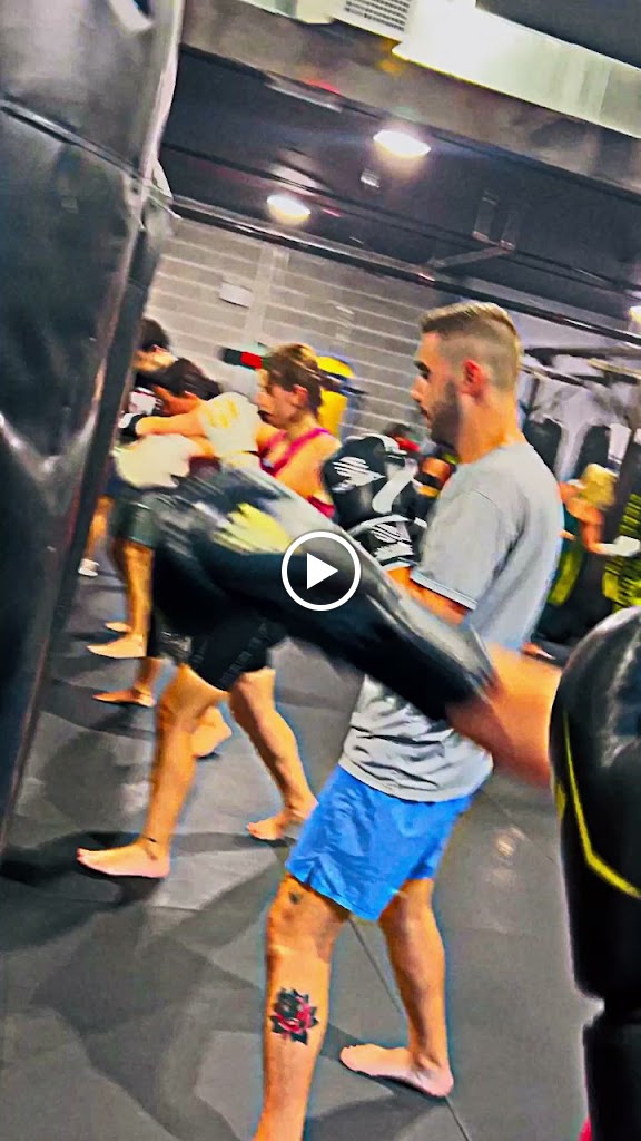  Gorilla Vinny Training