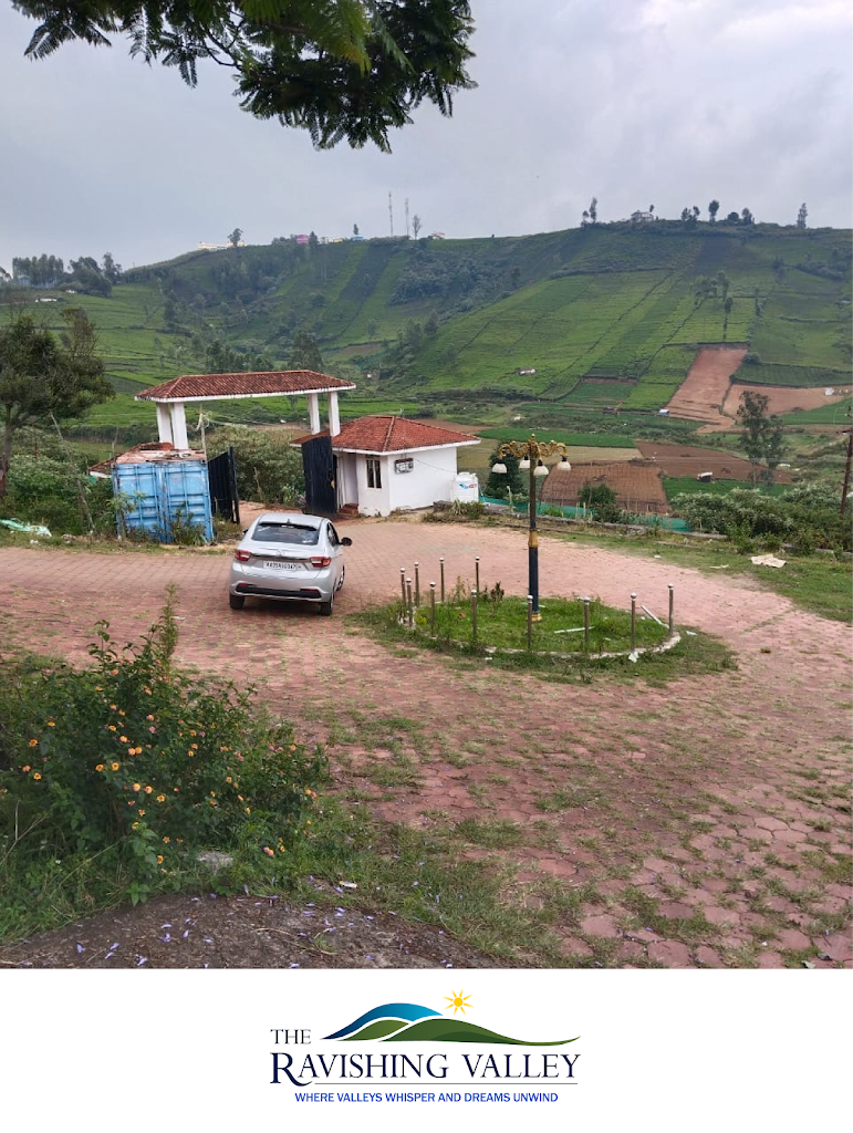 Ravishing Valley Ooty