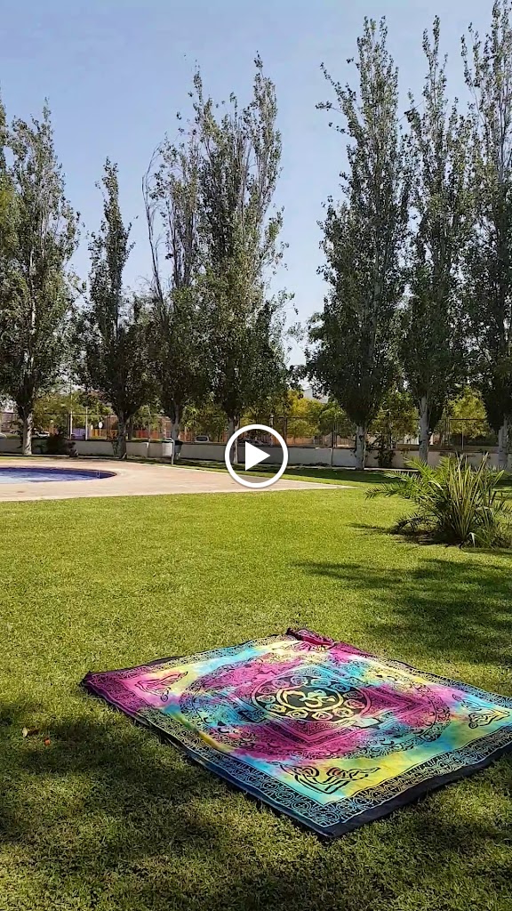 Piscina Silla Bar Restaurante — Videos