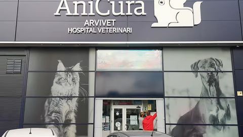 AniCura Arvivet Hospital Veterinari