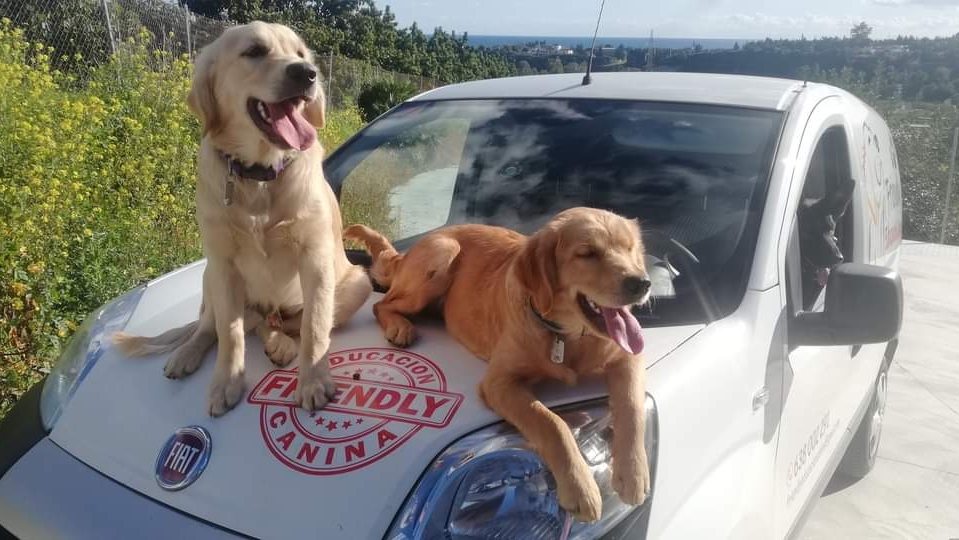 Friendly Educacion Canina