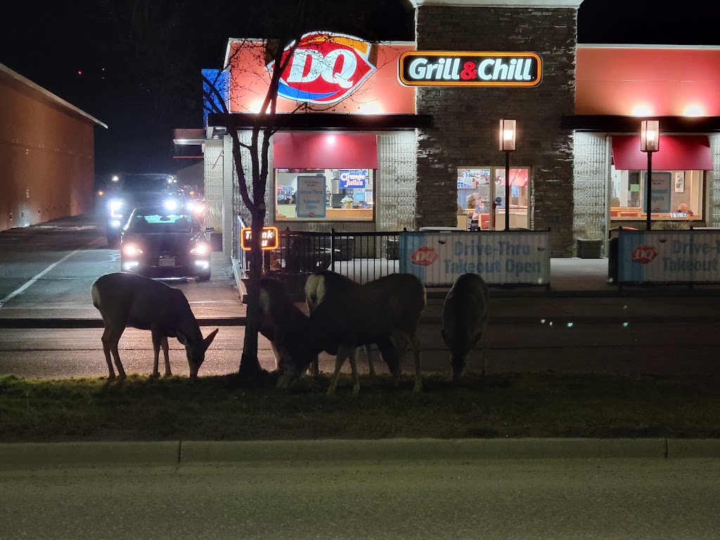 Dairy Queen Grill & Chill in Cranbrook