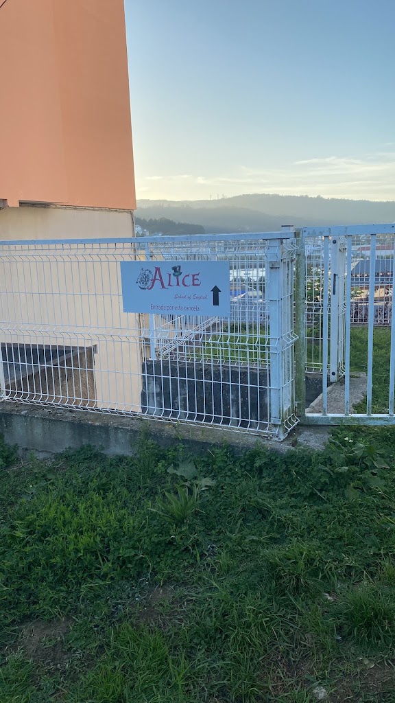 Alice School of English — Del propietario