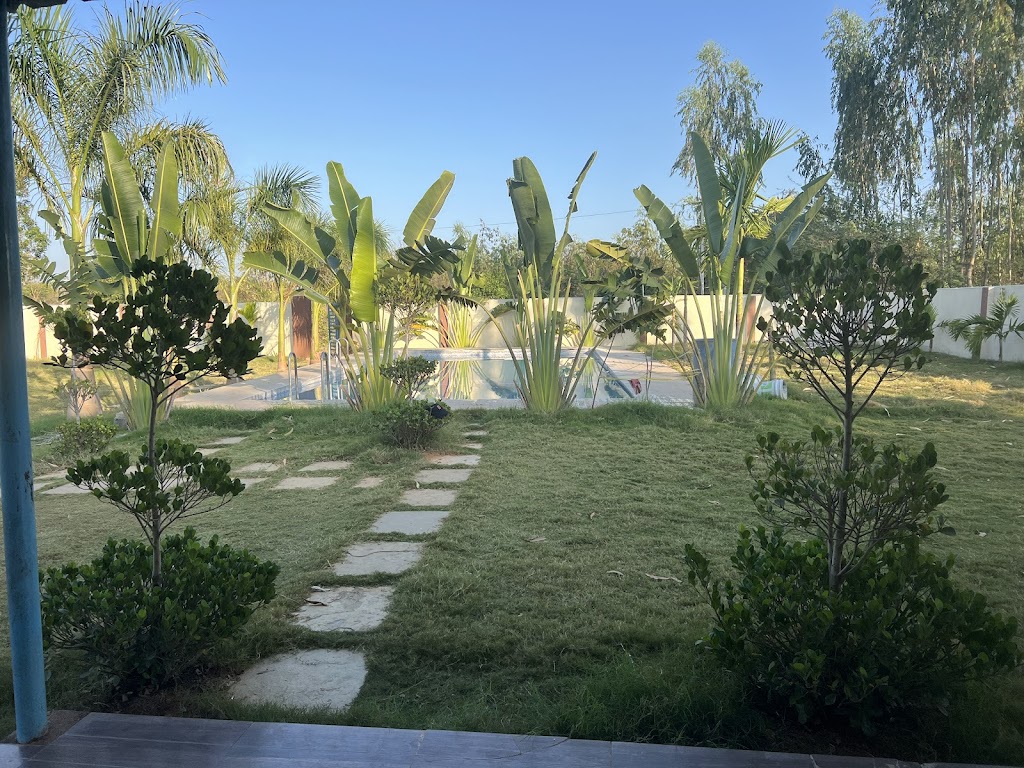 Dp Resort