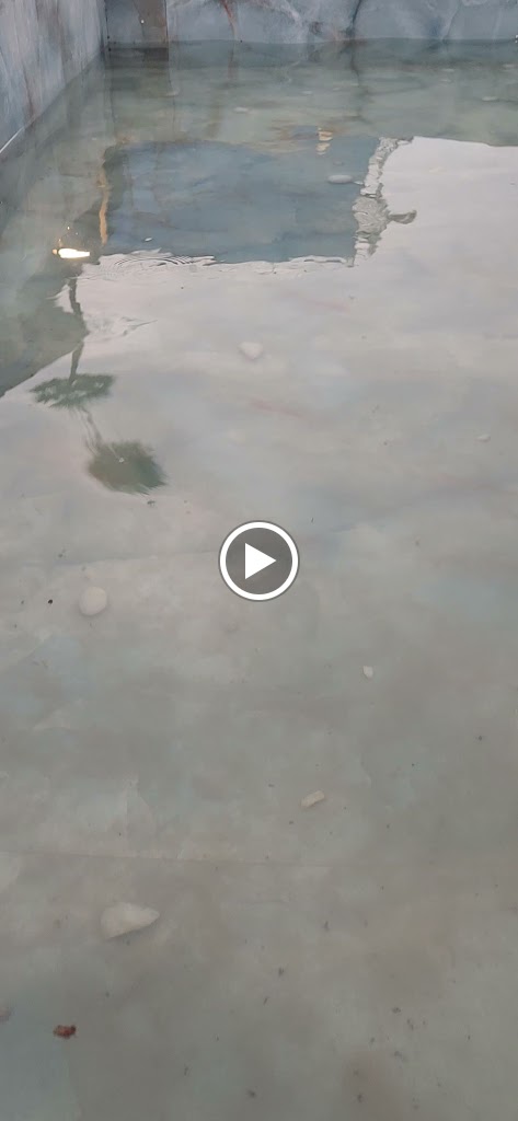 Videos