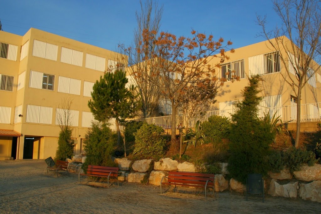 Escola Mestral, SCCL