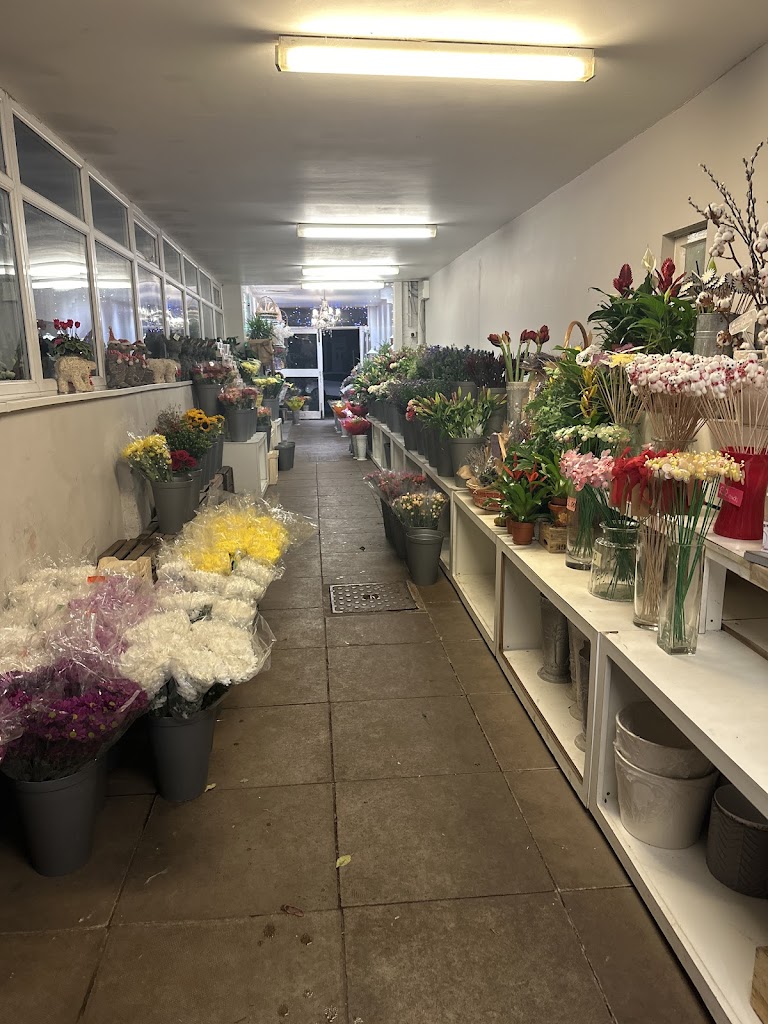 Homeland Florists