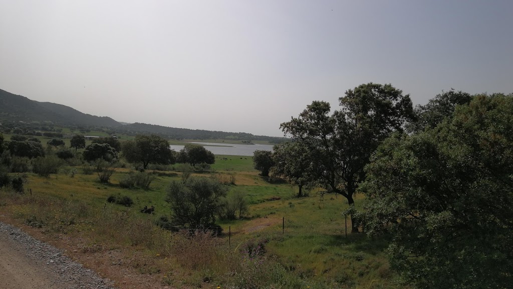 Camino de Almaden