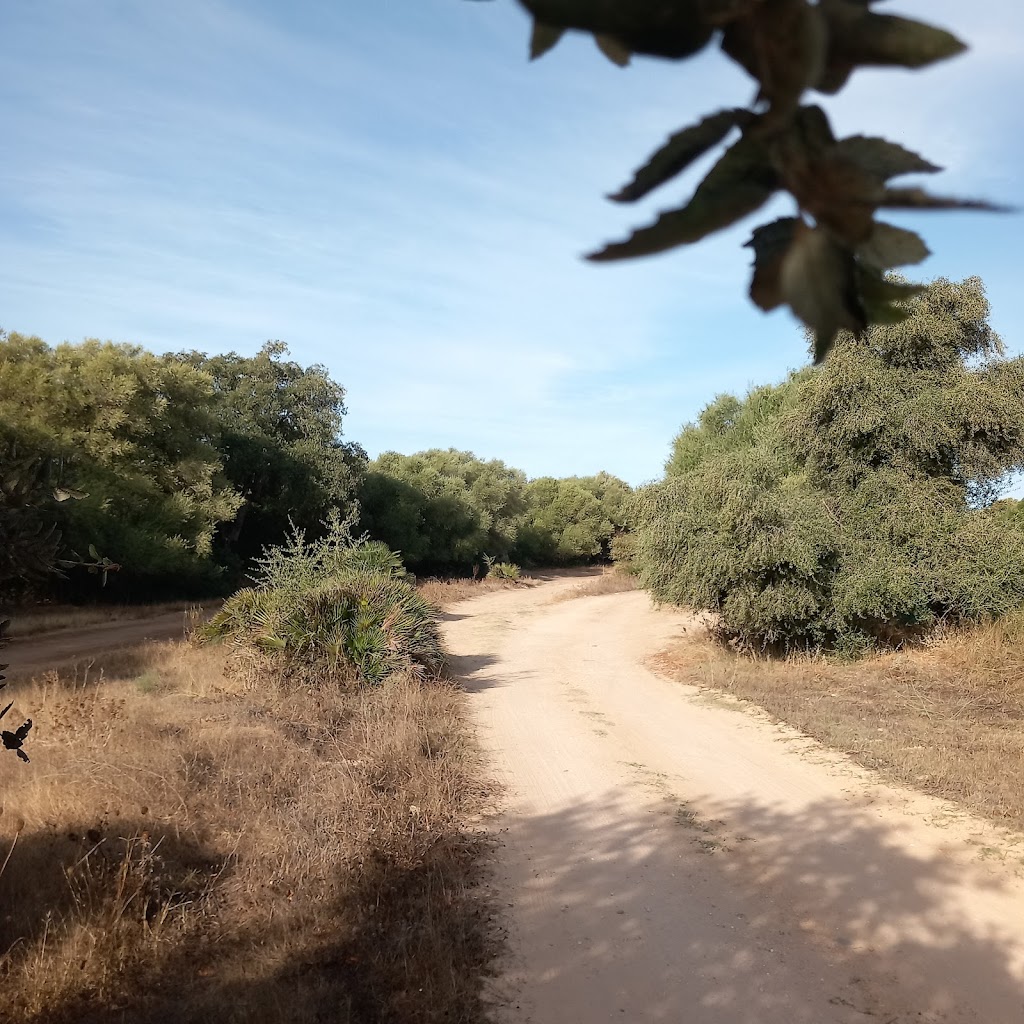 Sendero las Abiertas el Romeral