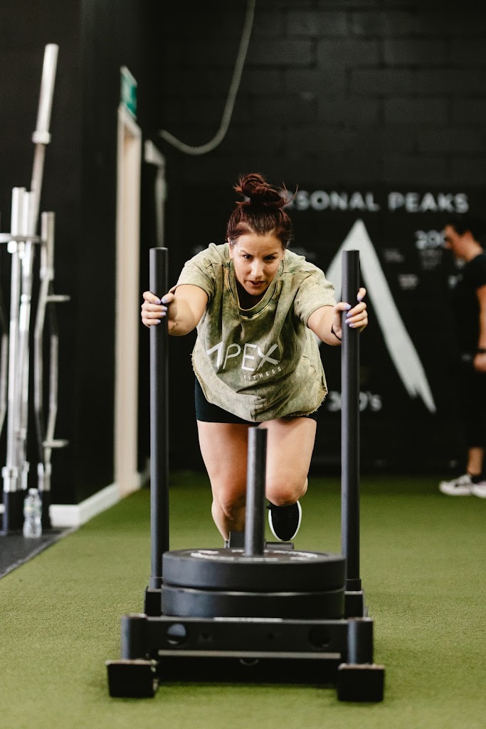  Apex Fitness