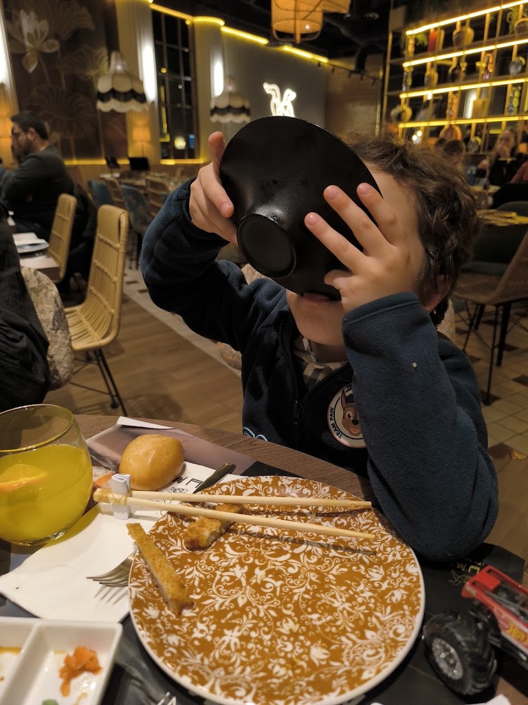 SUMO Heron Diversia — Mas recientes
