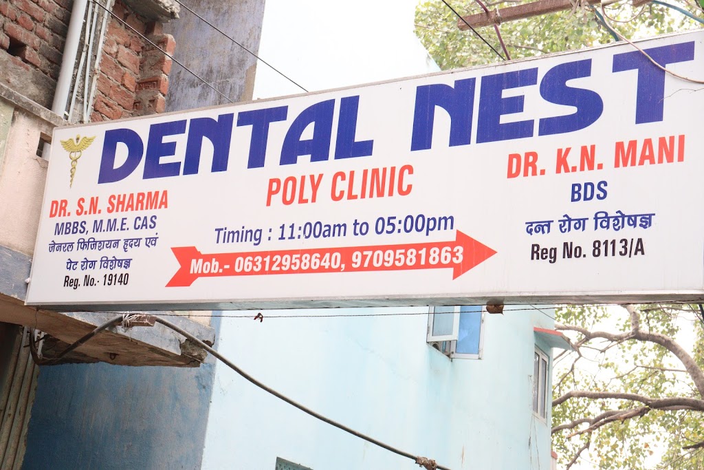 Dental Nest