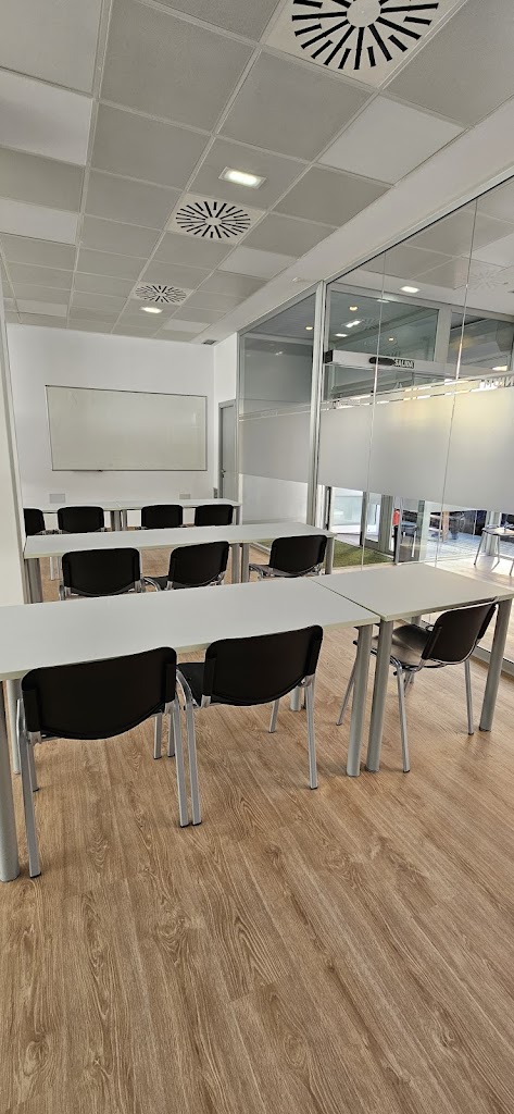 Academia Ingenium Schola