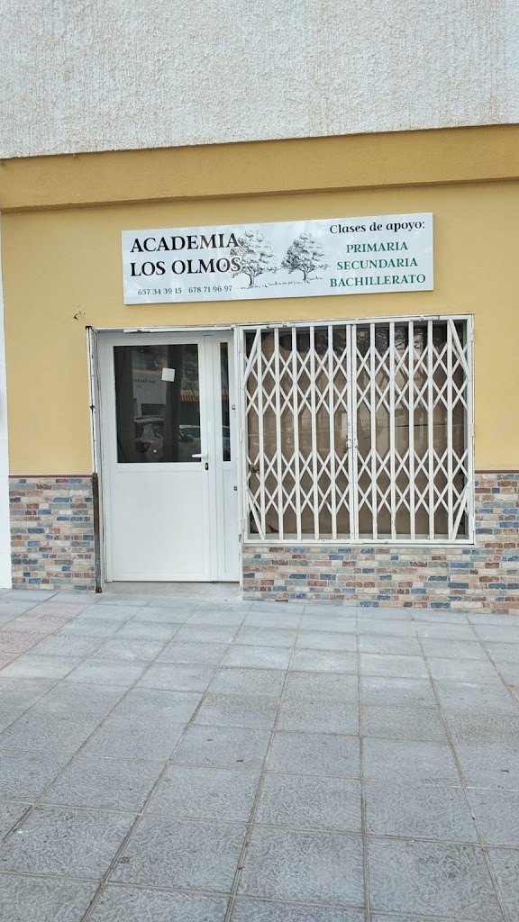 Academia los Olmos