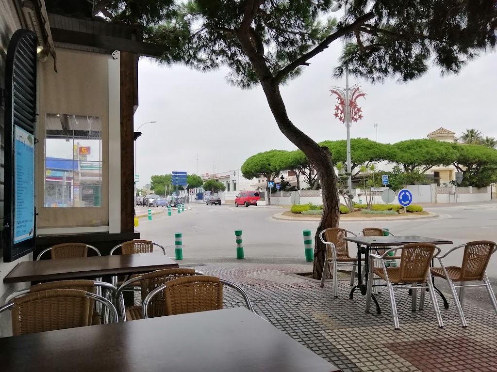Venta el Pino — Ambiente