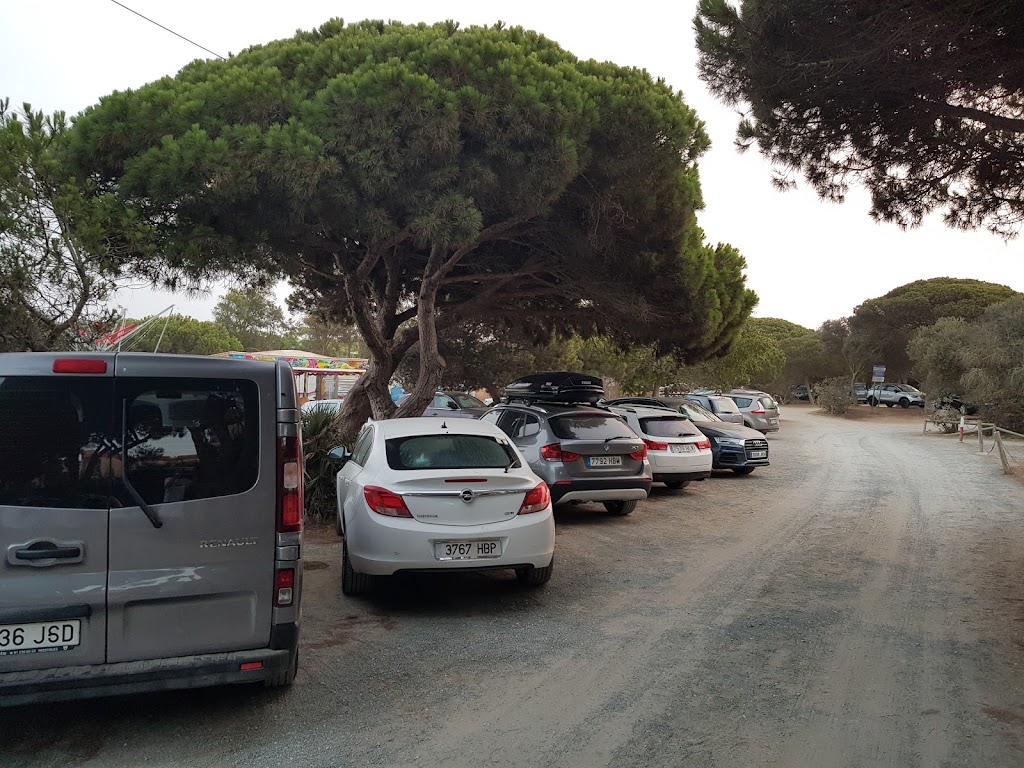 Aparcamiento entre pinos