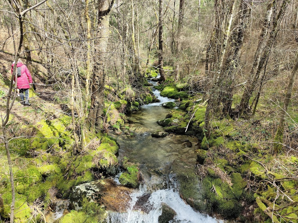 Sendero Rio San Vicente