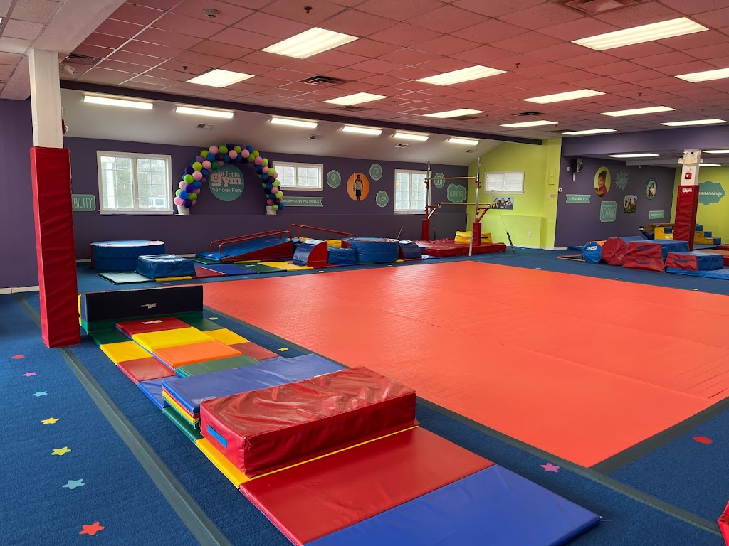  The Little Gym of Medway