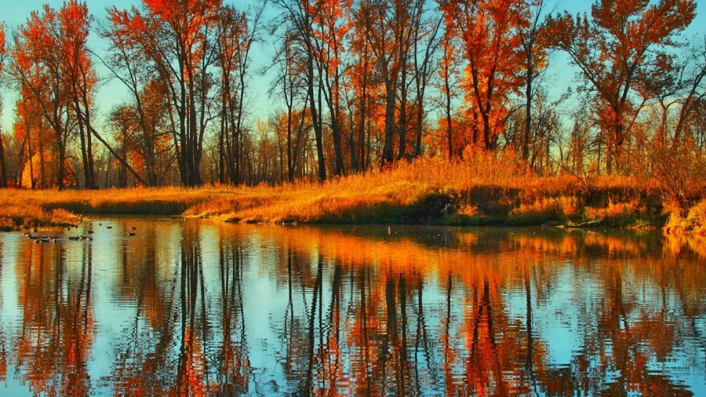  Take Fit LLC - Wellness with Sandi