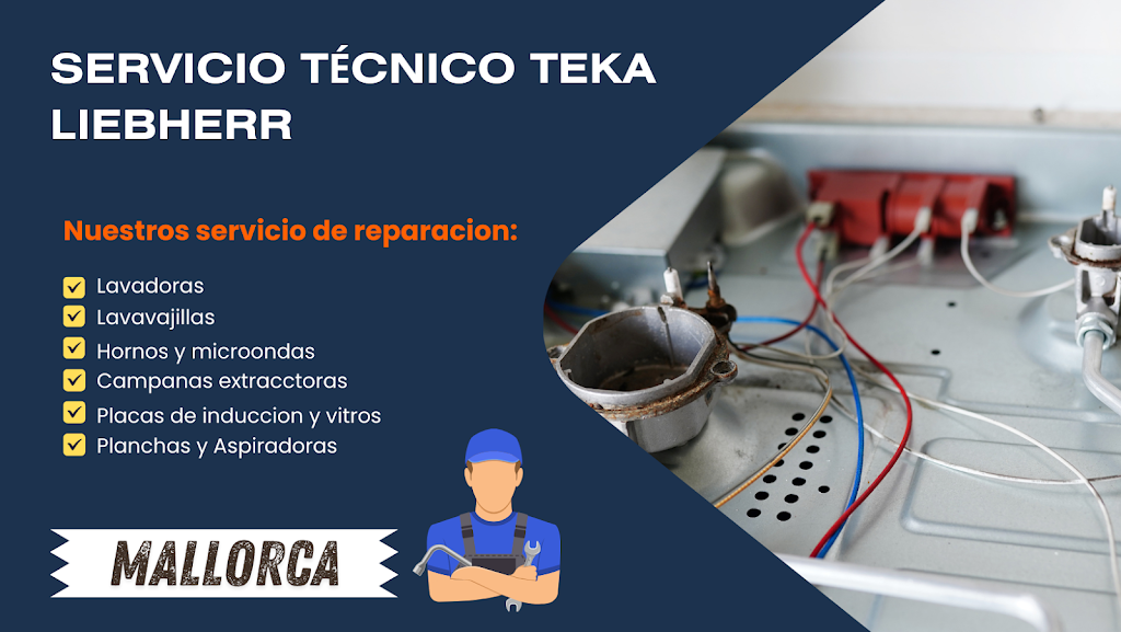 Servicio Tecnico Teka Liebherr — Del propietario