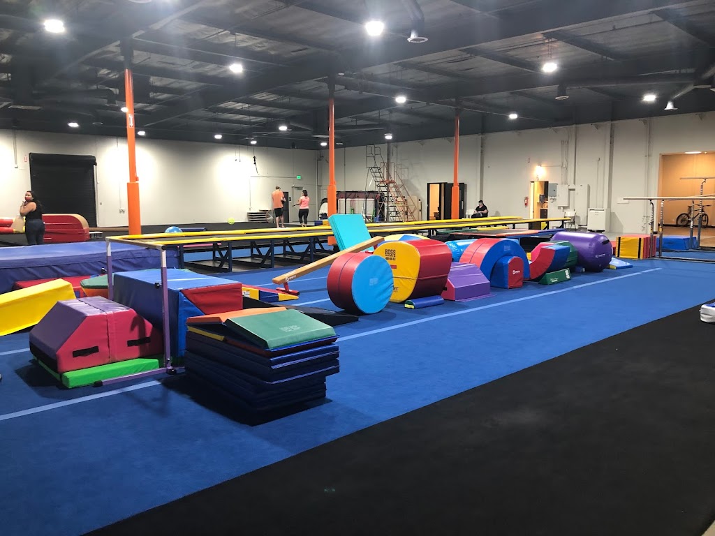  The Adaptive Athlete