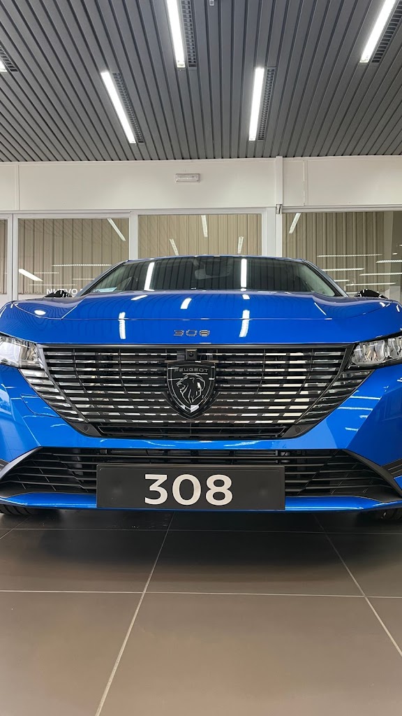 Peugeot Grupo Nani.