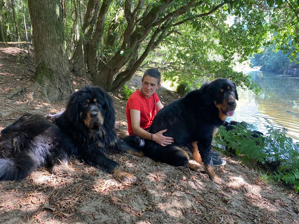 Centro Veterinario Lejarza — Perro