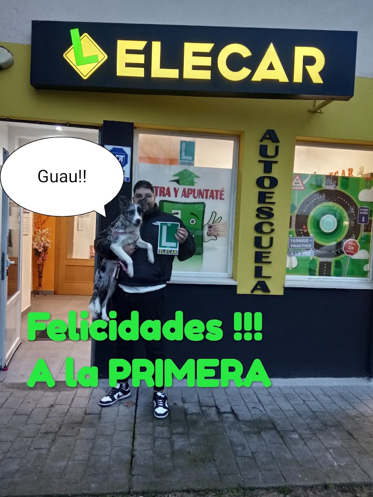 Elecar Autoescuelas S.L — Mas recientes