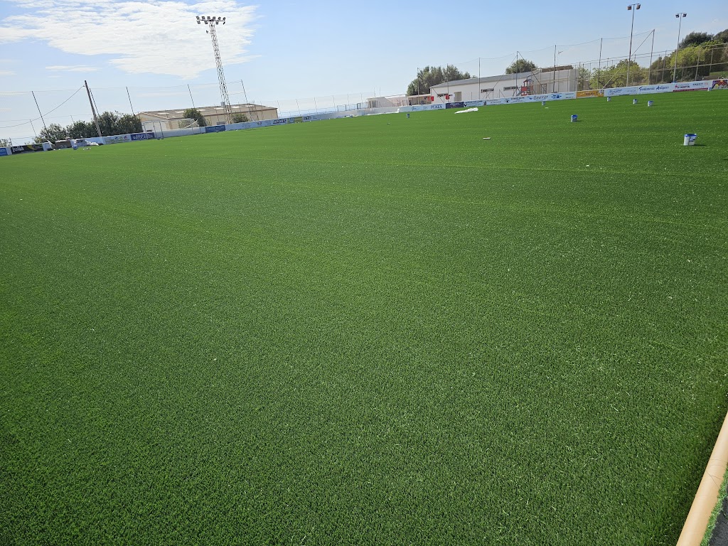 Camp de Futbol Sa Lleona