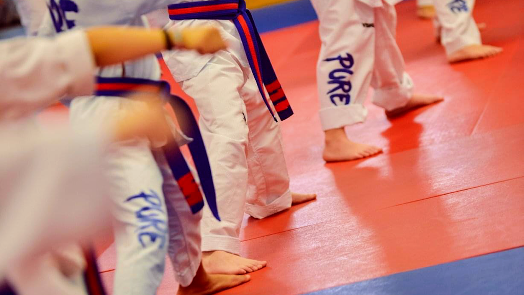 Pure Taekwondo Center
