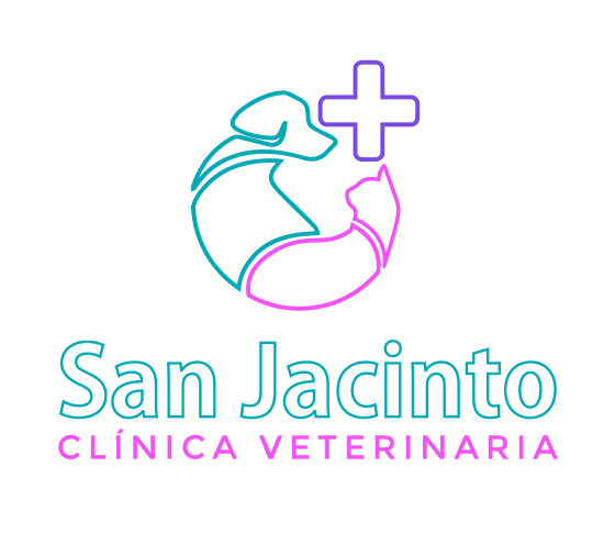 Clinica Veterinaria San Jacinto — Del propietario