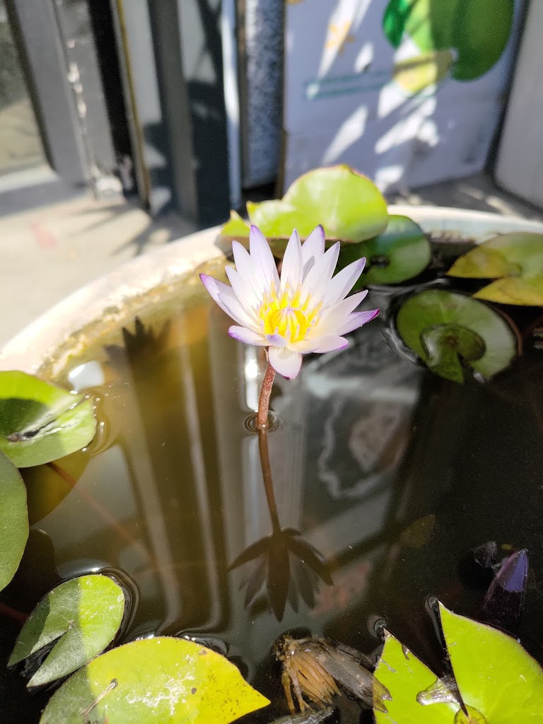 回家趣複合式餐廳 的照片