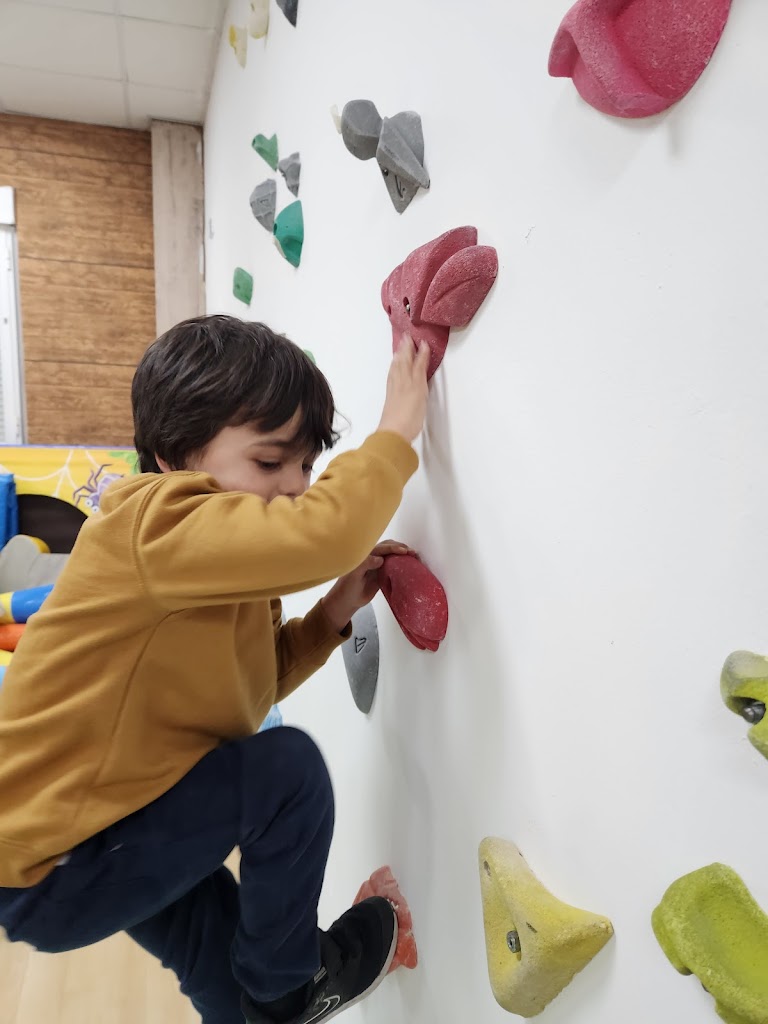 Escalabolas ludoteca