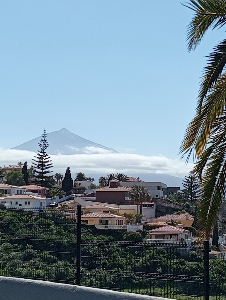 Tasca El Riego — Mas recientes