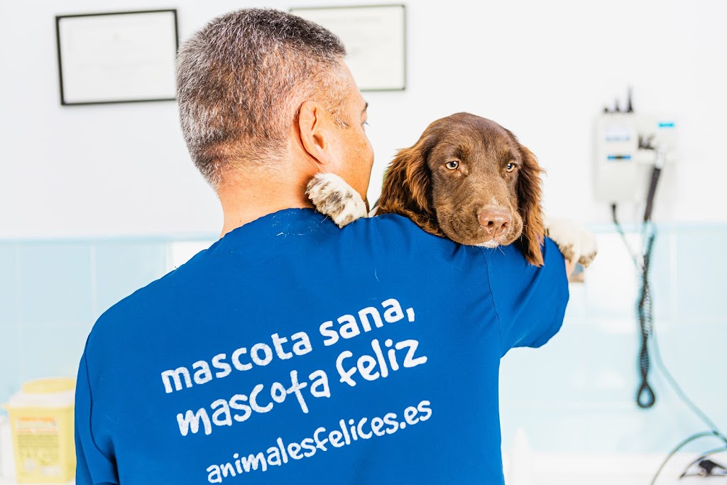 Clinica Veterinaria Avila Chiclana