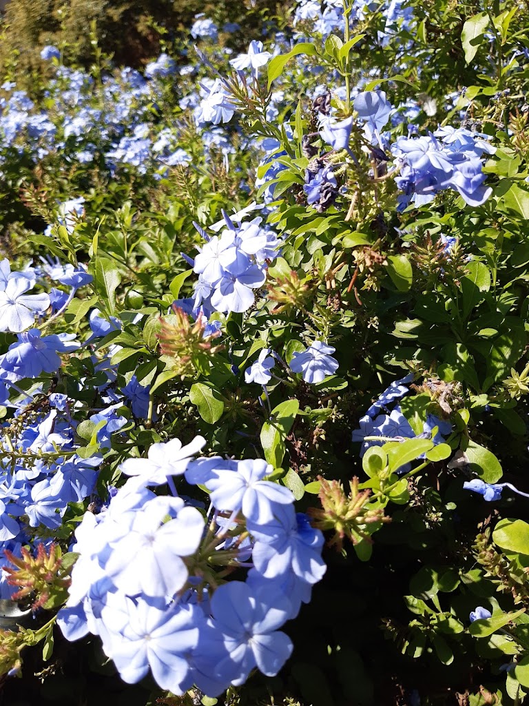 Parque C. Bajo de San Pedro