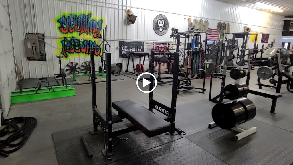  Alpha Evolution Fitness & Training, LLC