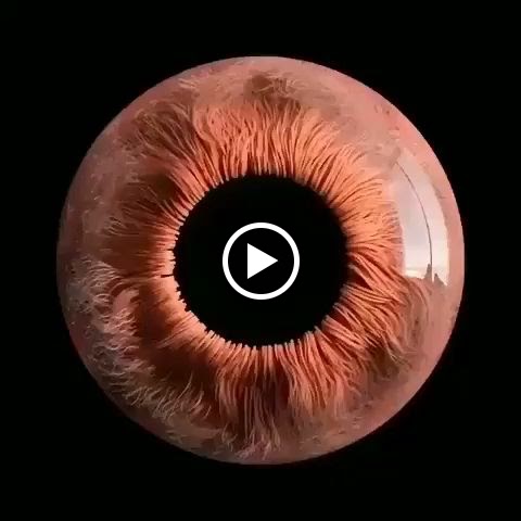 Yash Eye Clinic
