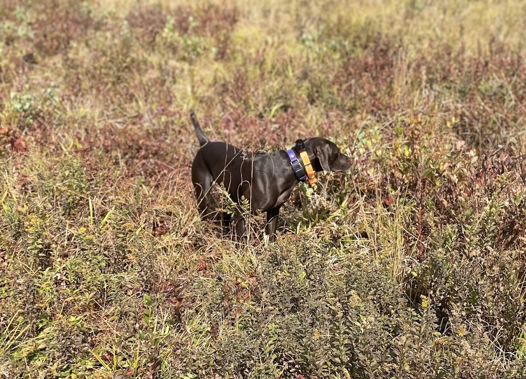 Hunting club in Granville