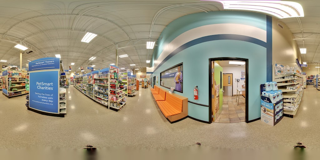 Street View & 360°